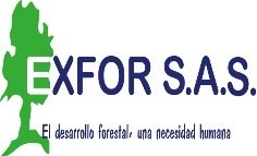 EXFOR S.A.S